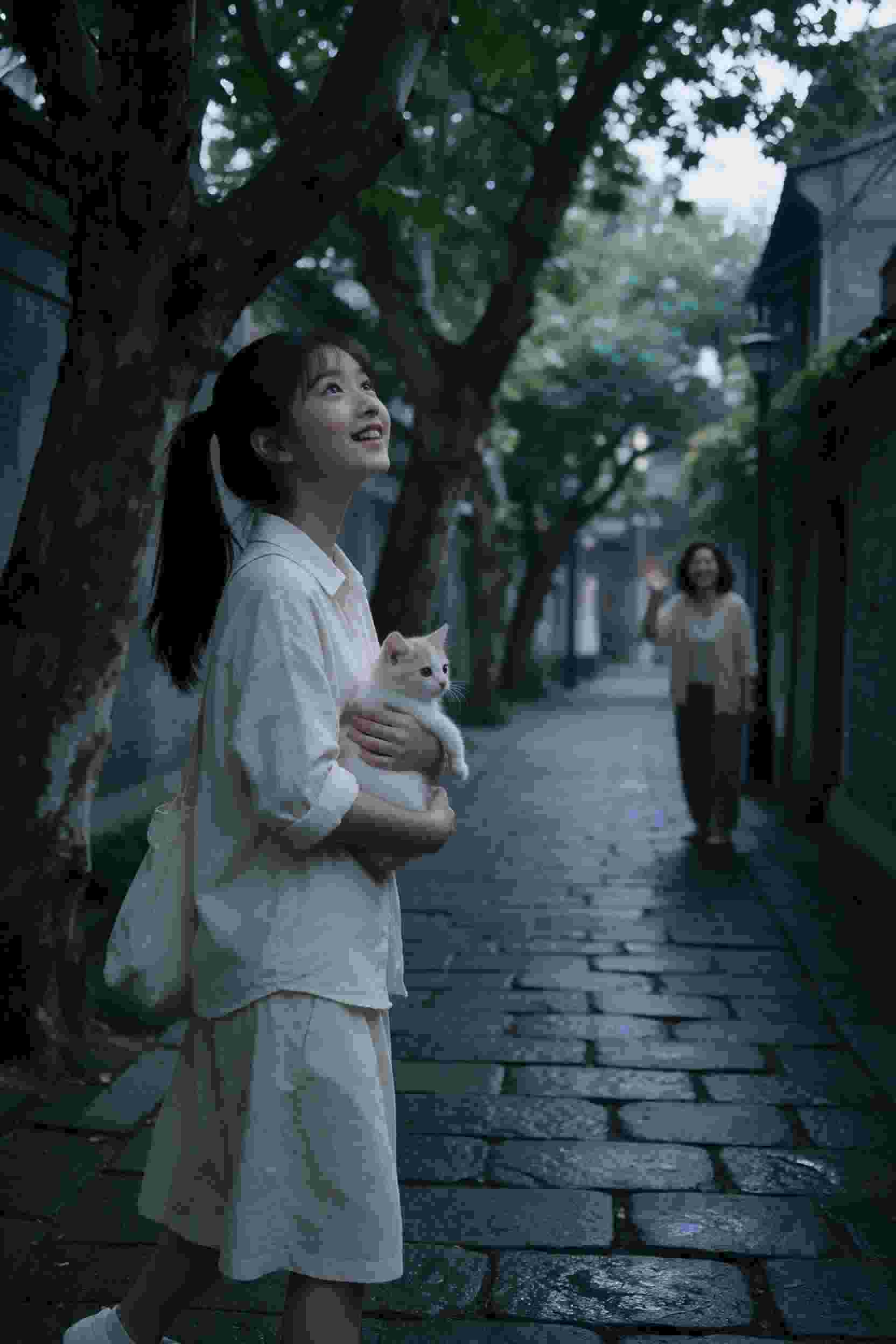 深夜低语